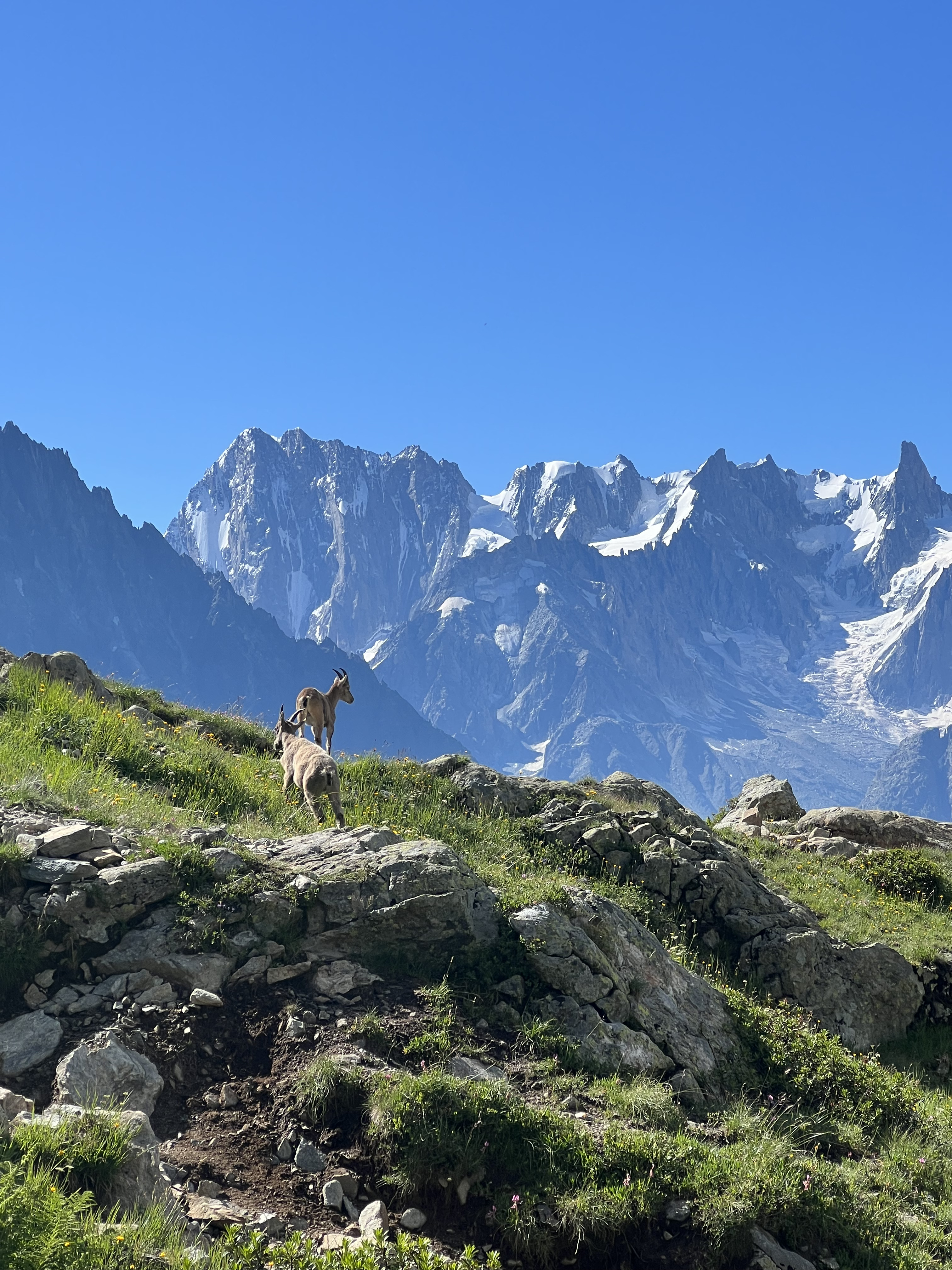 10 Reasons To Hike the Tour Du Mont Blanc
