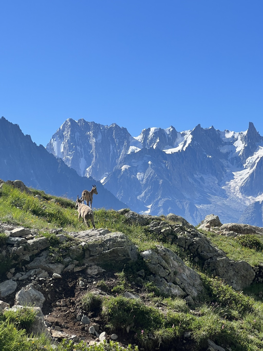 10 Reasons To Hike the Tour Du Mont Blanc