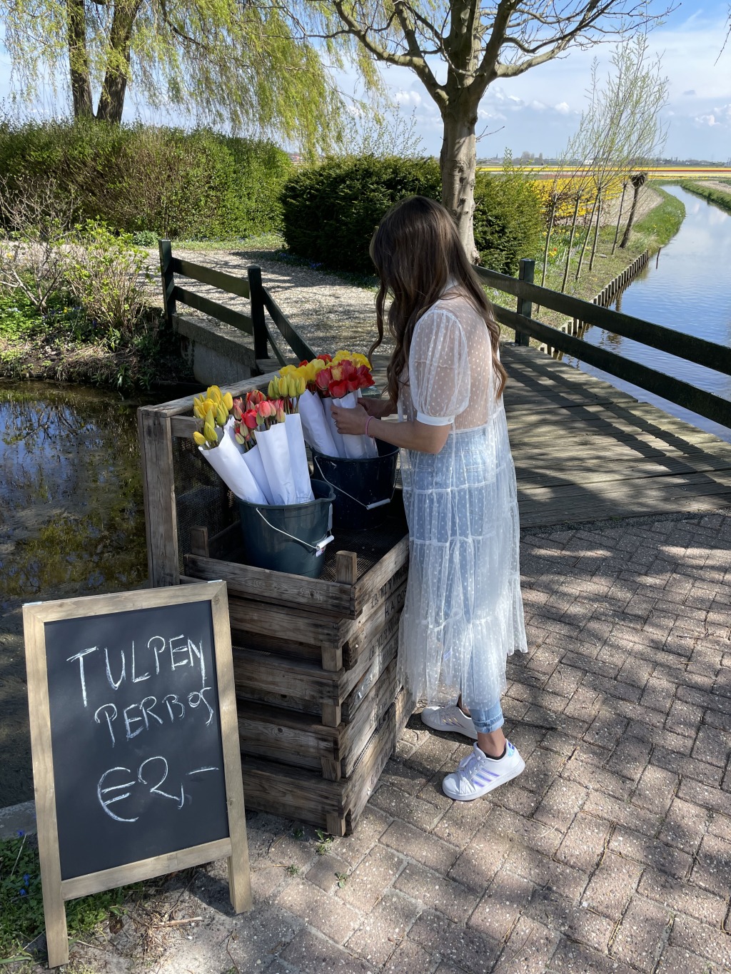 How to Visit the Tulips in the Netherlands