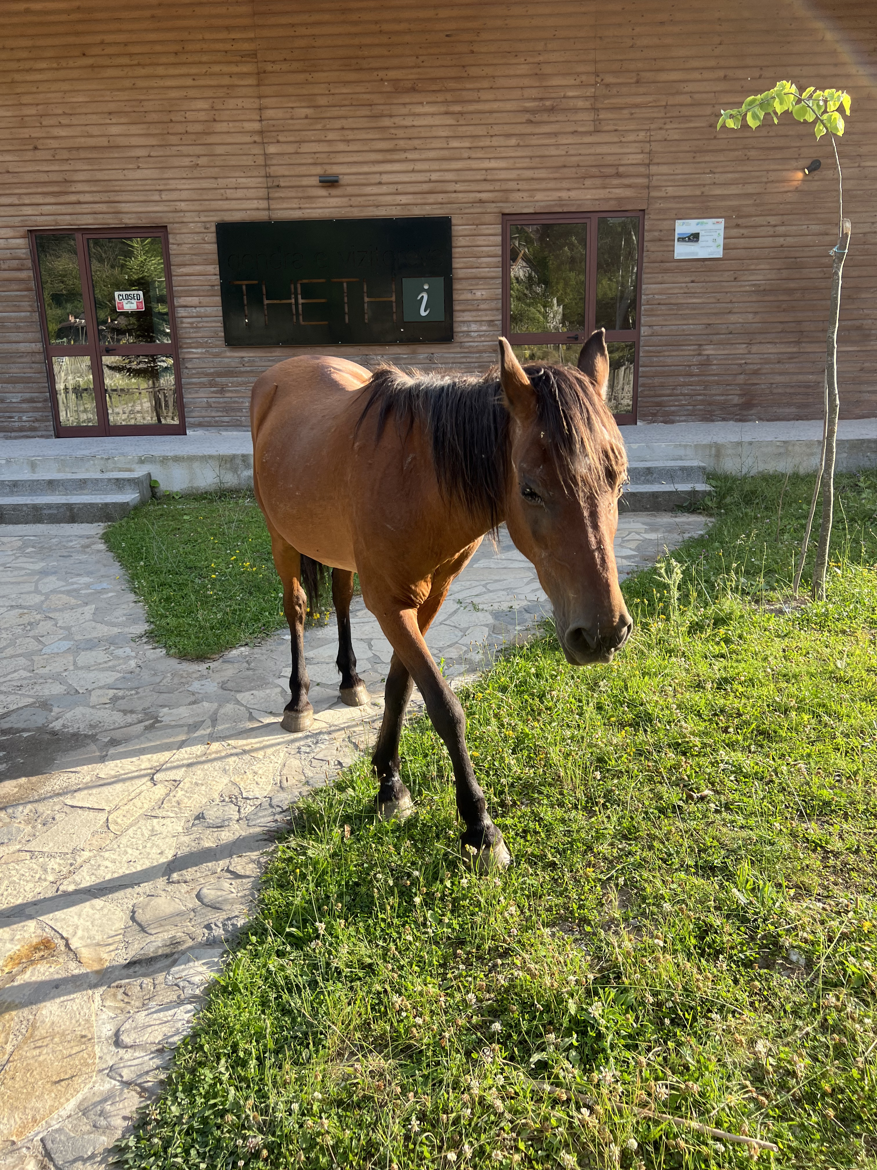 Guide to Visit Theth, Albania