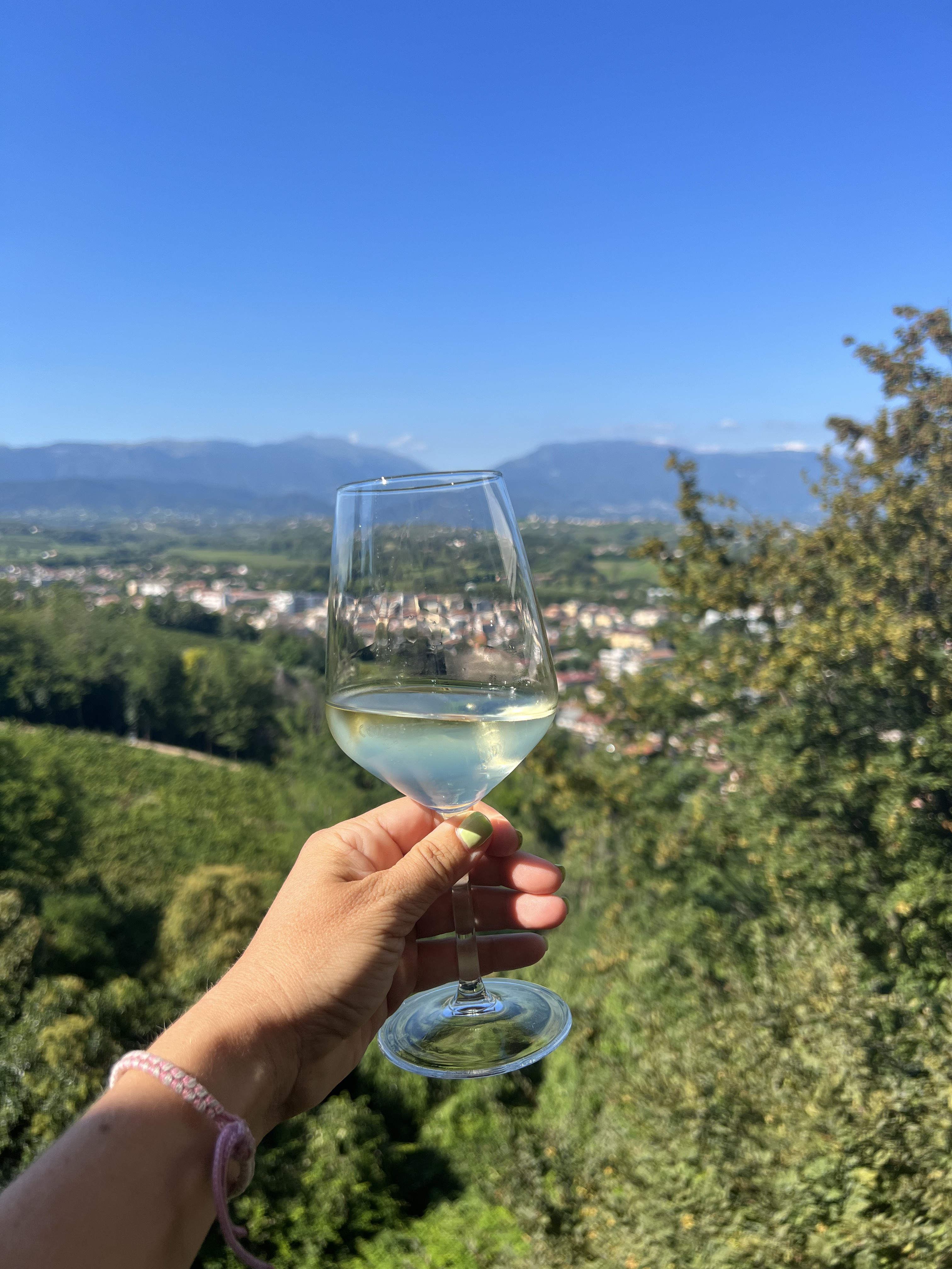 The Best way to experience Italy’s Prosecco Hills