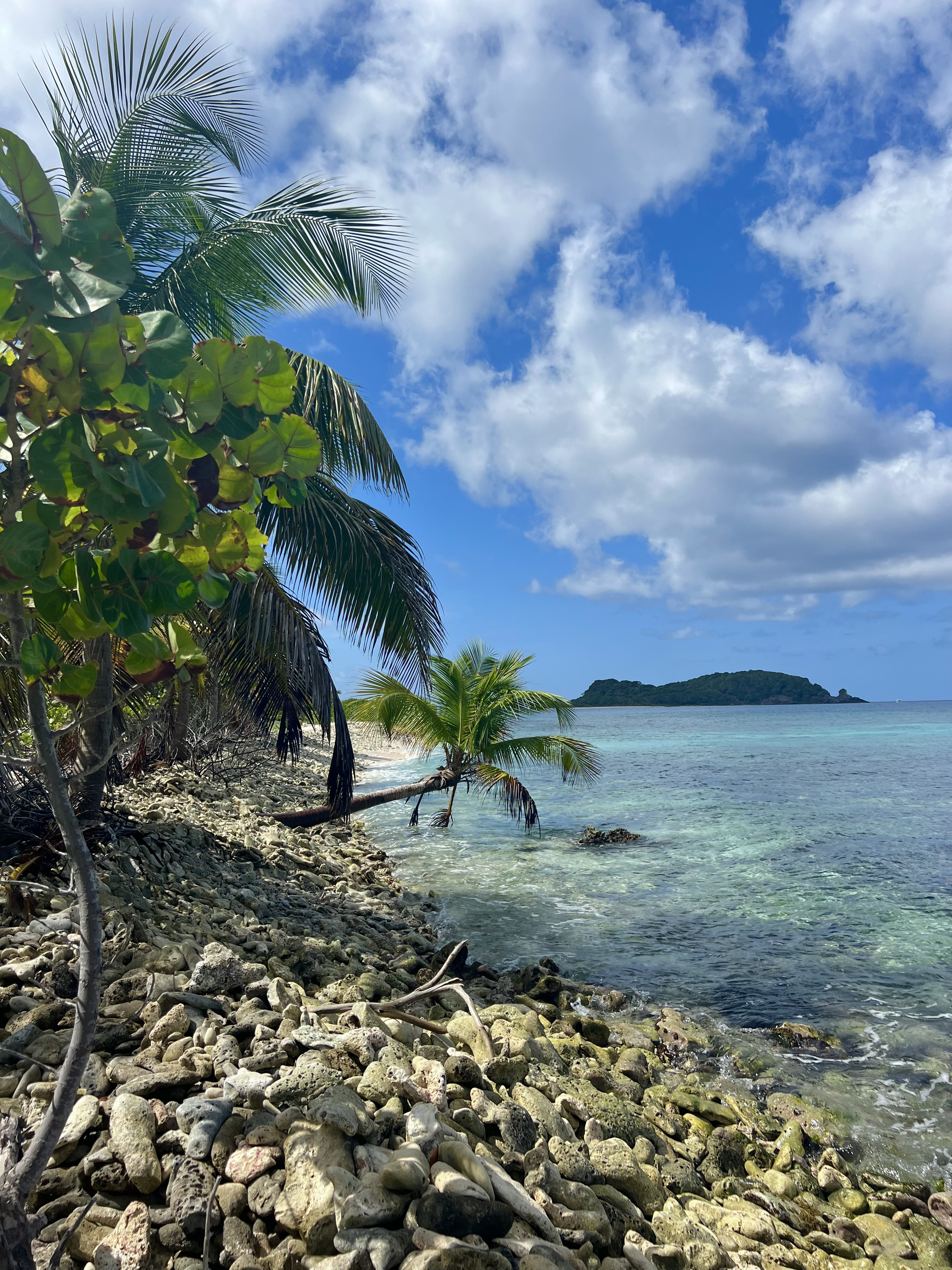carriacou, Grenada: the coolest island you’ve never heard of
