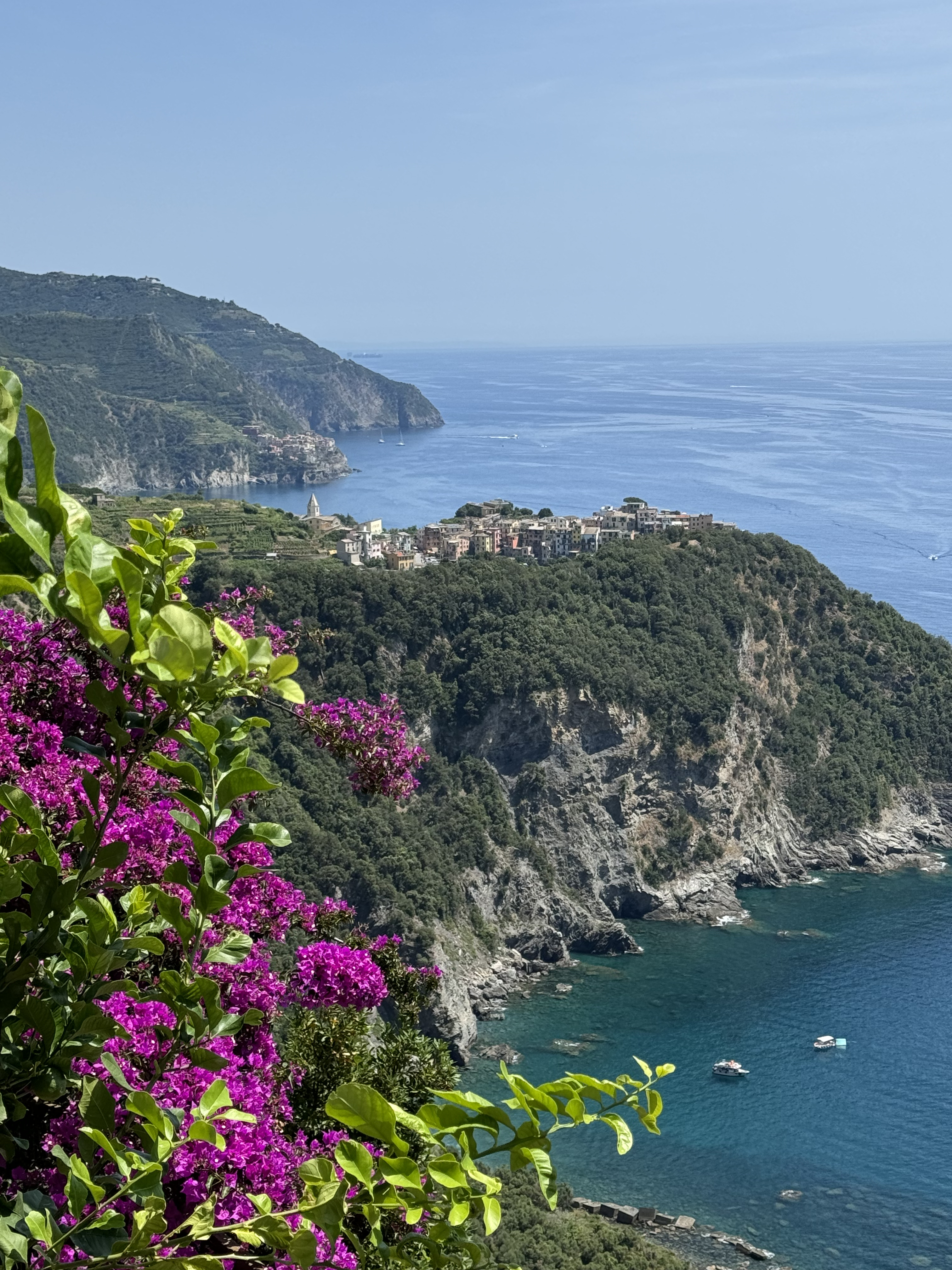 Ultimate Guide to Unique Experiences in Cinque Terre