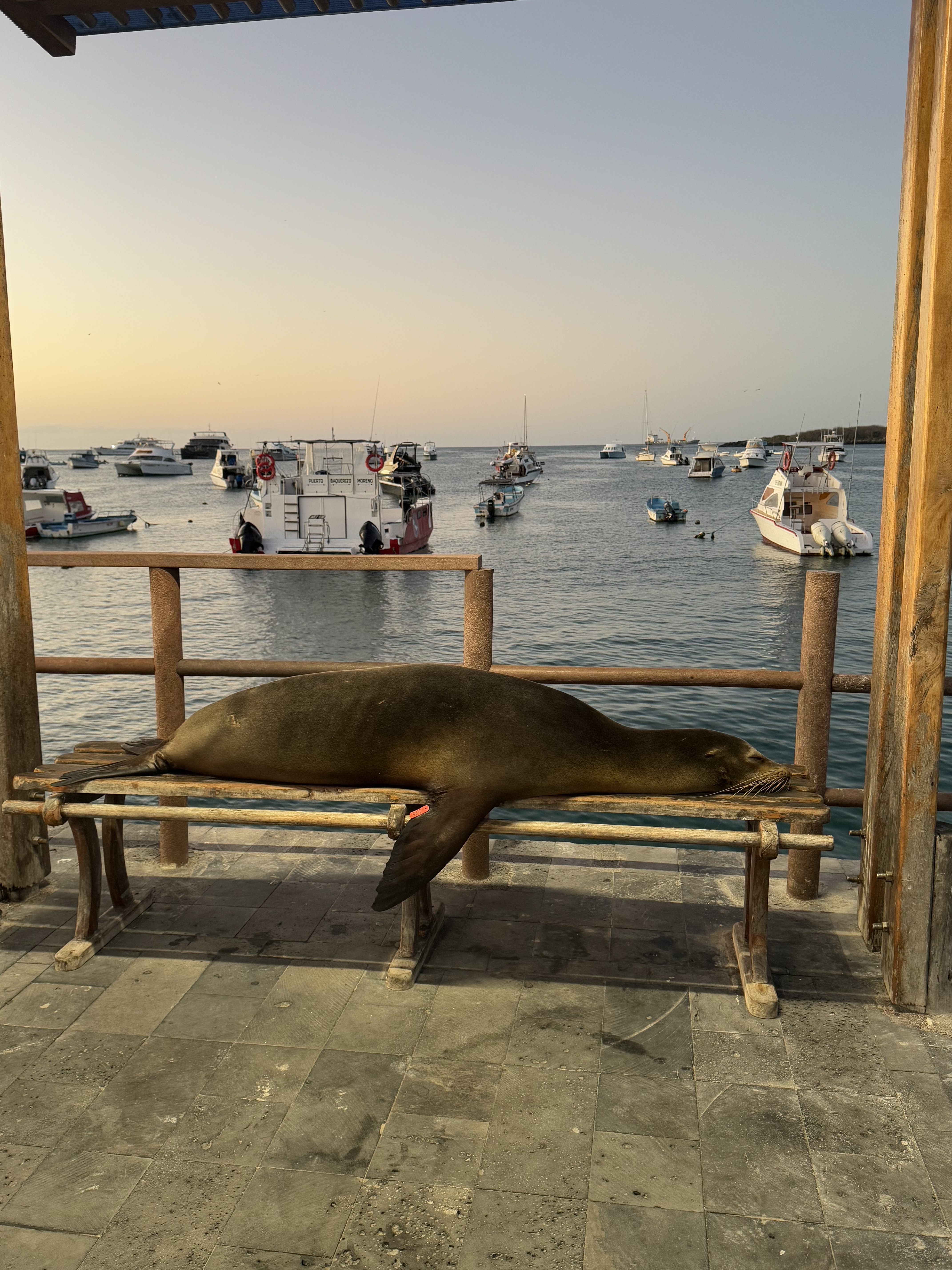 san cristobal island 3 days land based on Sea Lion Island