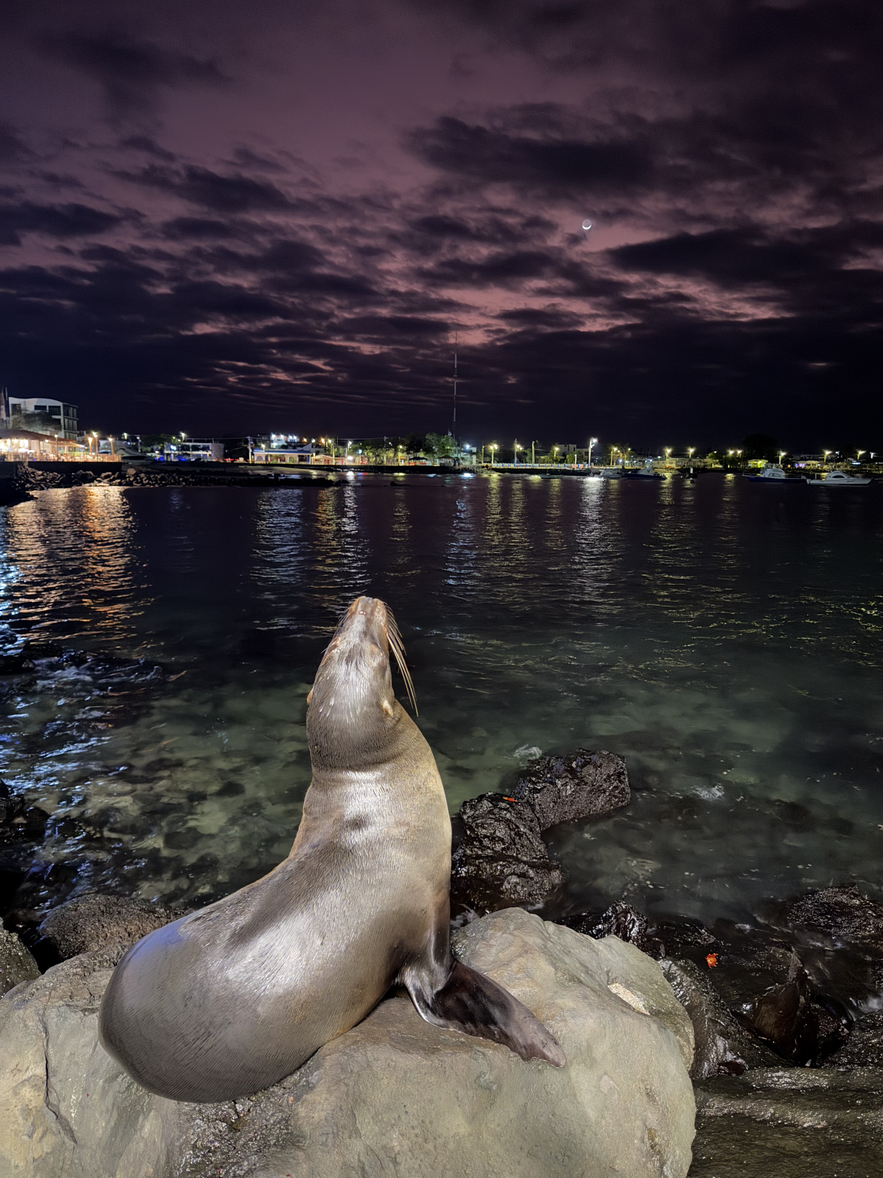 17 things you should know before doing a land based Galapagos Islands Trip